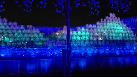 Japan Festival Light Show