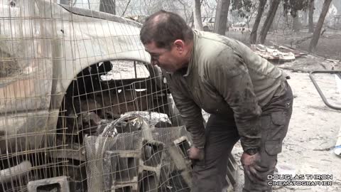 Camp Fire Cat Rescued By A Good Samaritan