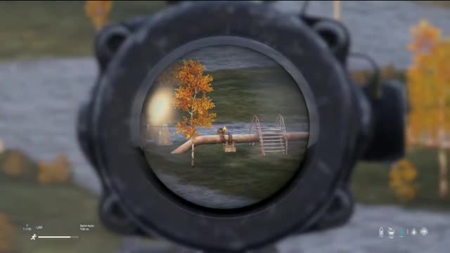 DayZ compilation