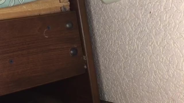 Wall Plug Monster Hides Under the Bed