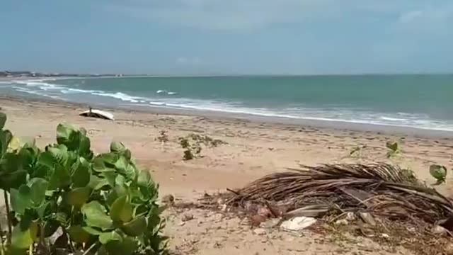 Running to the beach