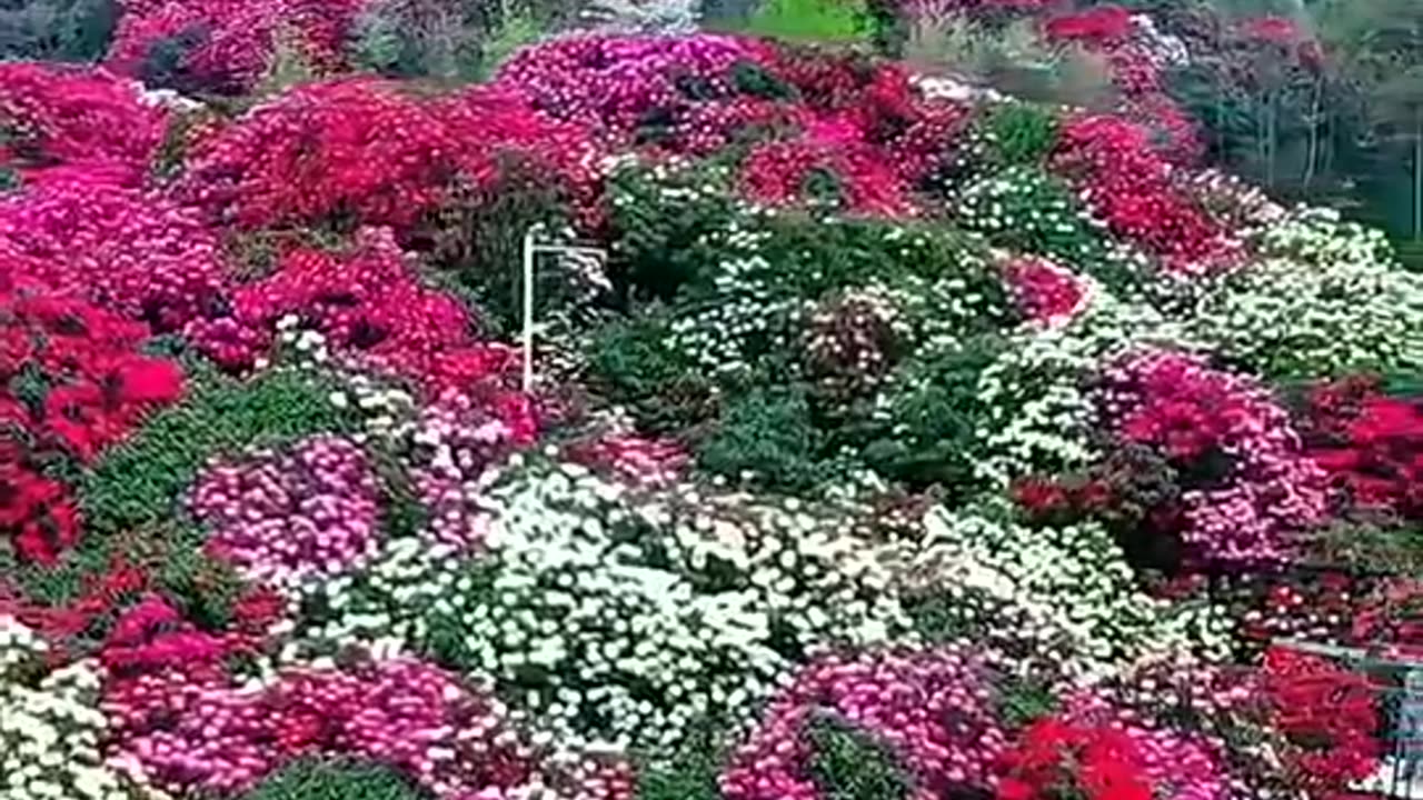 Zero degree temperature ecosystem in Indian Himachal Pradesh