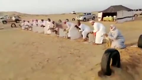 How Dog's race was conducted in Dubai