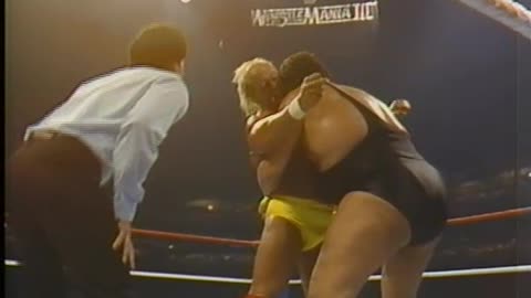 Andre the Giant vs Hulk Hogan