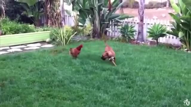 Animal playing football with kids