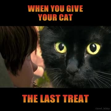 How To Train Your Dragon - Starring my cat OwKitty
