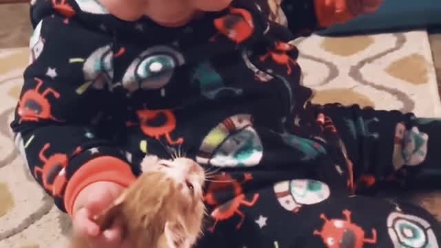 Cat Baby: The Cutest Thing You'll See Today