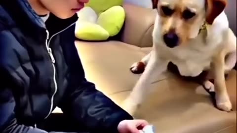 Funny #viral #comedy