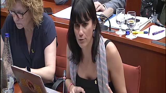 Comparecencia del periodista del digital Público.es, Carlos Enrique Bayo (4)