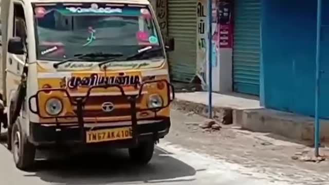 Bull Chases Truck to Save the Cow He Loves