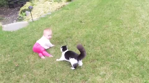 Baby and cat funny video (compliment of multiple videos)