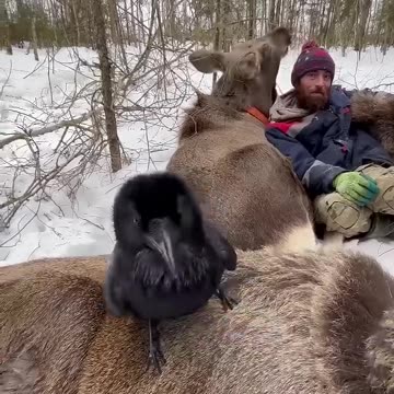 WARMING UP IN THE WOODS...