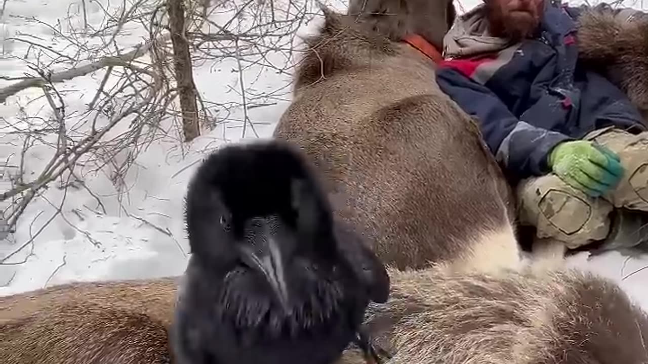 WARMING UP IN THE WOODS...