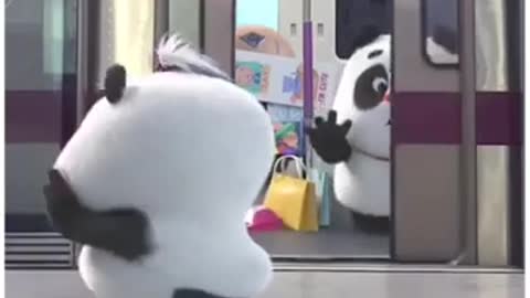 Funny panda video 🤣🤣