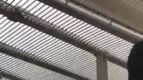 Meanwhile, in ... Portugal - 12/02/2020