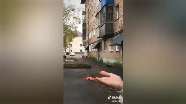 Funny videos from Tiktok