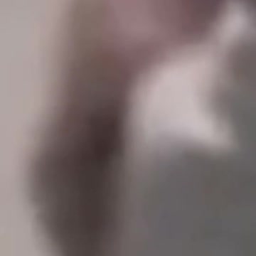 Joe Biden Gives a Young Boy His Dirty Face Mask