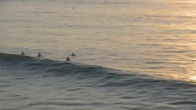 Waves on a beach with a few surfers