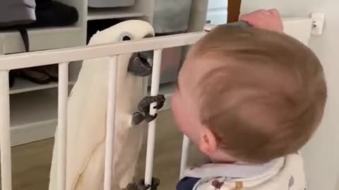 Cute baby play with parrots❤🥰