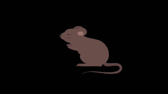 natural animal animation mg mouse simple flat style