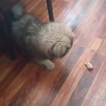 be aware of dogs 😄😄