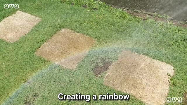 I created a rainbow using a garden hose