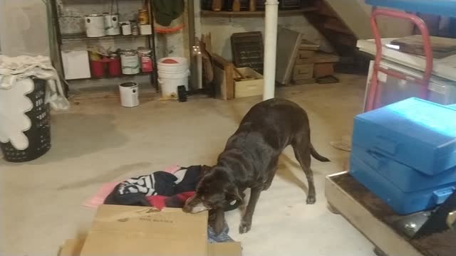 Clark's recycling shenanigans