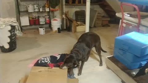 Clark's recycling shenanigans