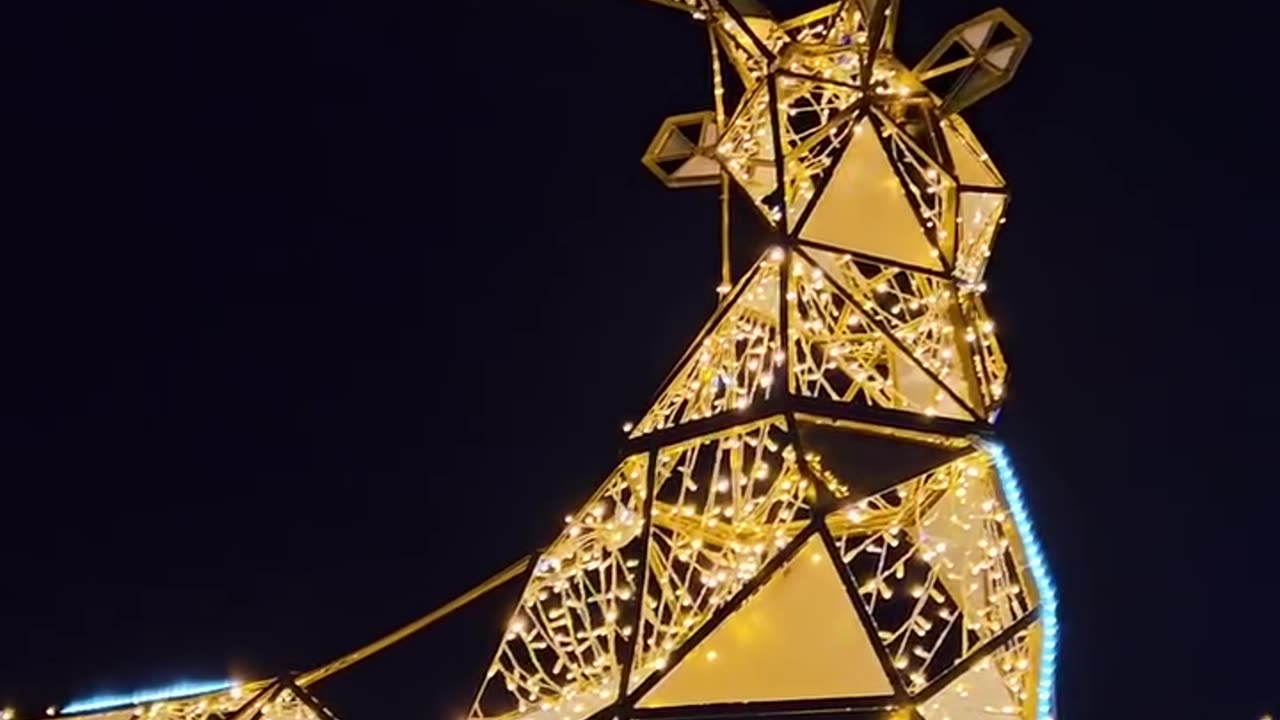 Merry Christmas Night View