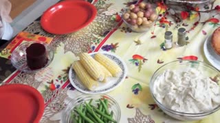 Pilgrim Dogs vs. Turkey Monster Prank! Funny Dogs Maymo, Potpie & Penny