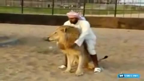 How to ride a Lion