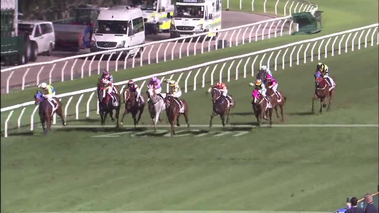 Horse_Race_2022052504_Chinese