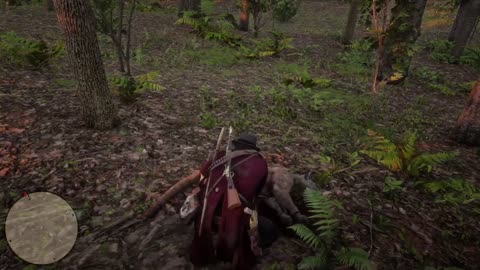 Panther Hunt