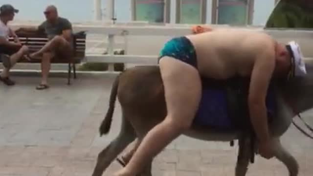 Guy falls asleep on his donkey