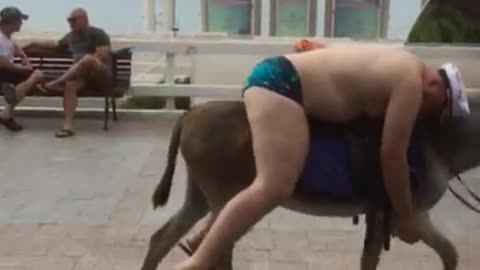 Guy falls asleep on his donkey