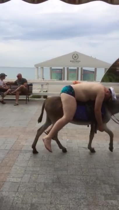 Guy falls asleep on his donkey