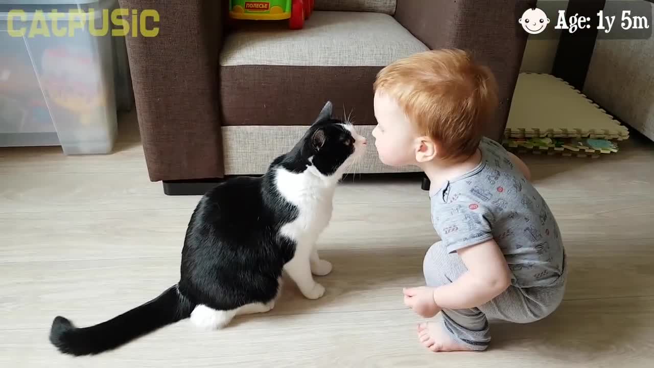 Cat loves Baby