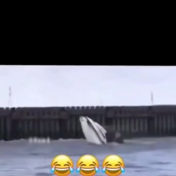 Funny vidéo
