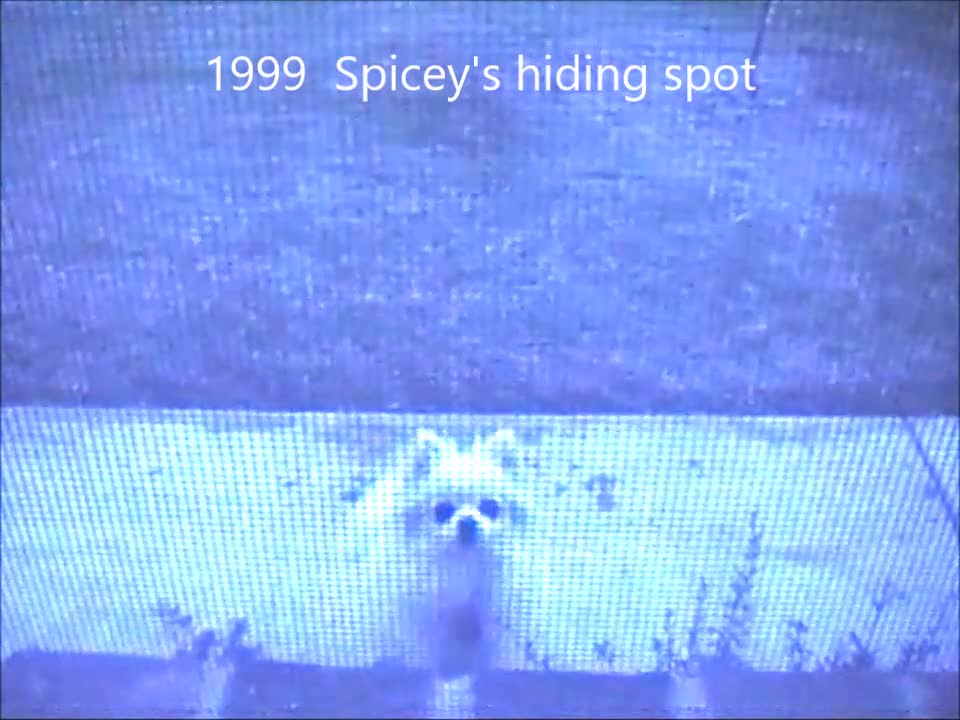 1999 Spicey's hiding spot