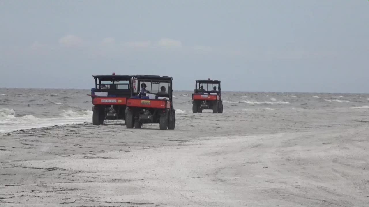 Marea roja ha dejado un centenar de manatíes y delfines muertos en Florida