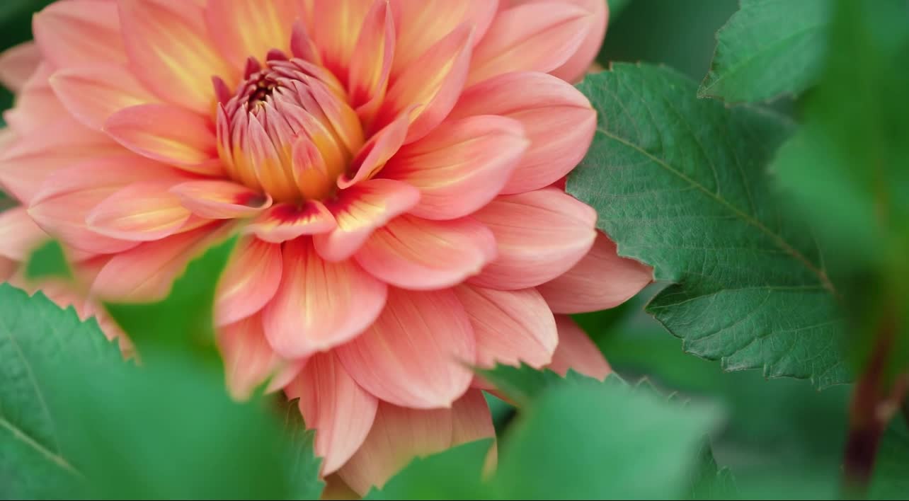 The colorful flowers in the park make people linger.