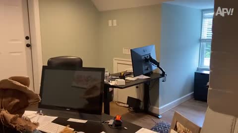 BEST Halloween Pranks and Fails