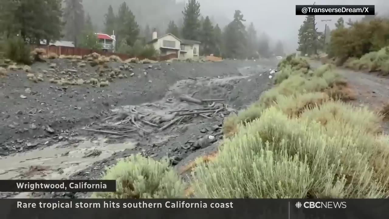 The National - B.C. wildfires, Yellowknife evacuees, Tropical Storm Hilary | USA Today