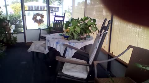 Mom's Florida Room