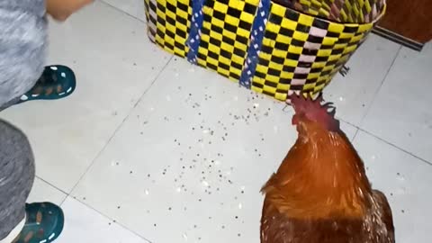 Surprised baby