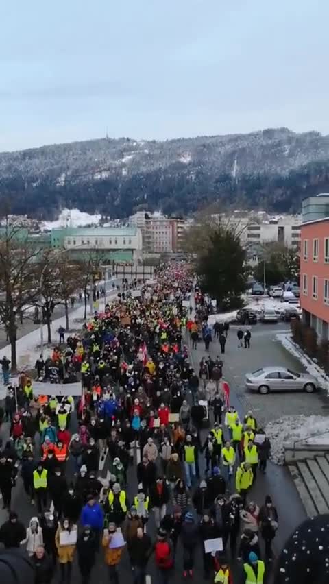 Thousands protest covid-tyranny in Bregenz, Austria.