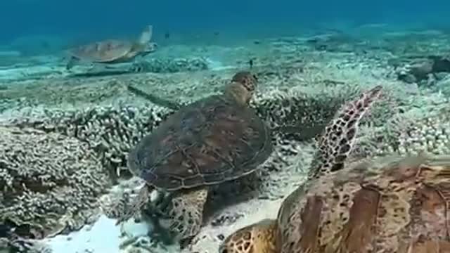 It's my turn!