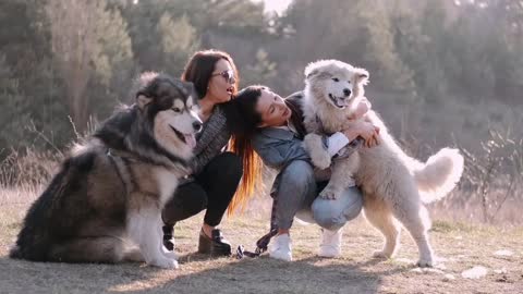 OMG🔥 love dog 🔥emotional pets
