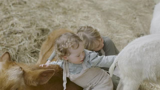 little-girls-hugging-a-cattle