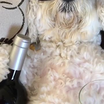 When you thought you done circling back for the week!